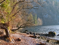 Uferwanderung Gmunden Traunsee