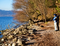 Uferwanderung Gmunden Traunsee