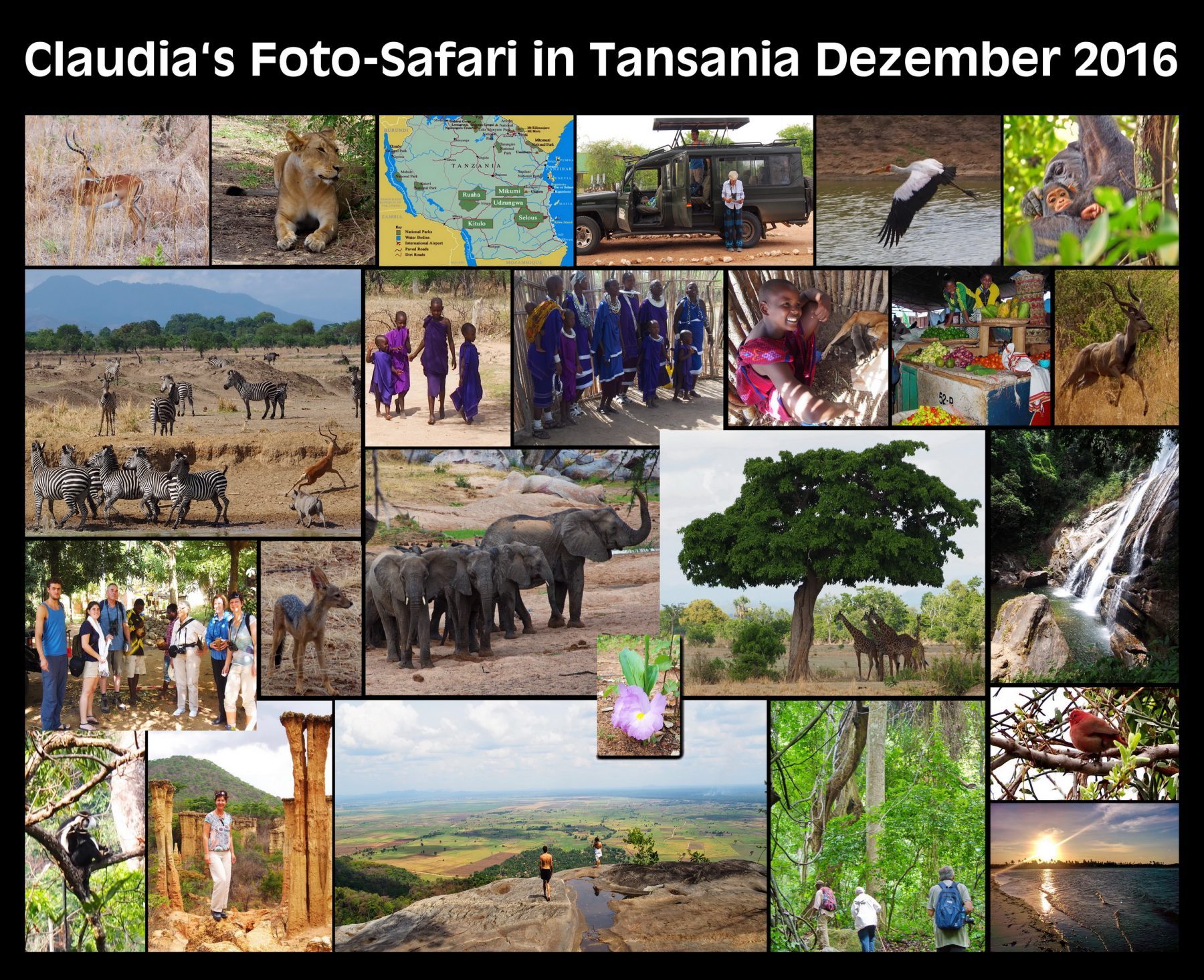 Mikumi N.P., Udzungwa Mountain N.P. mit Sanje Waterfall, Ruaha N.P. und Gombe Stream N.P.