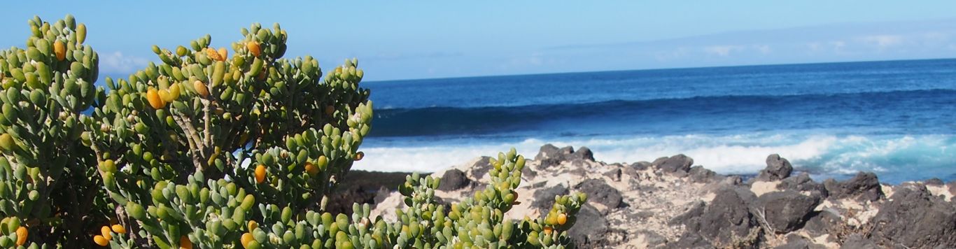 Enjoyable Walk from Playa San Juan to Los Gigantes